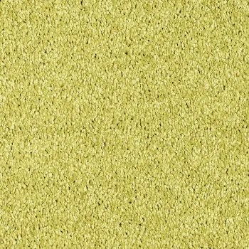 Preview: Vorwerk Luana Teppichboden hellgrün – rechteckige Draufsicht